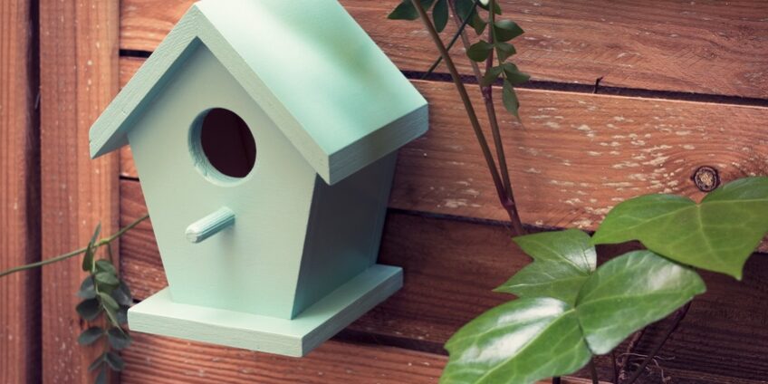 logement