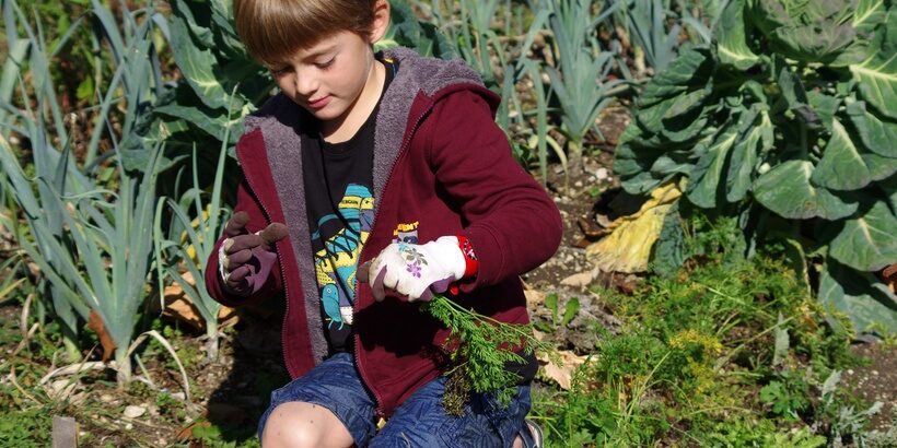 l'école au jardin