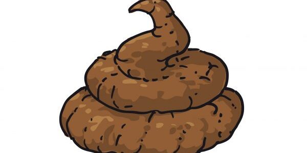 Crotte