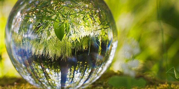 environnement-web
