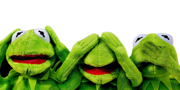 kermit-2687975_1920-web