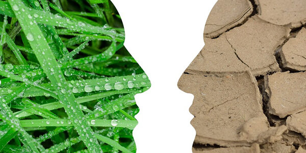 climate-change-gfffcf5ebe_1280