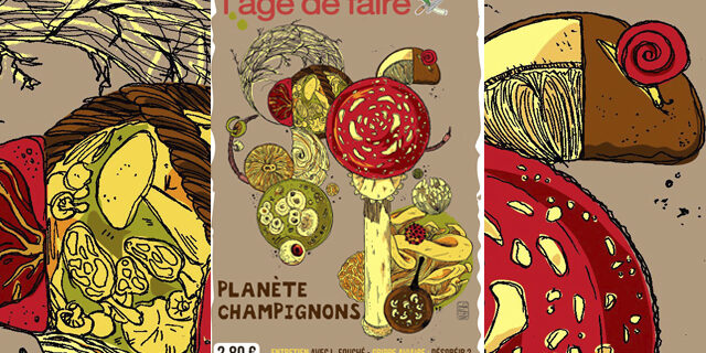 slider-184 Planète champignons