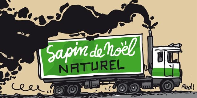 Sapins de noel