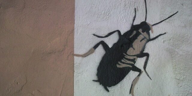 LaCucaracha_CCbyErichFerdinand