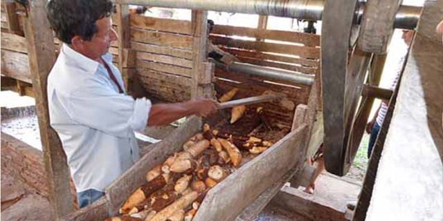 En haut, la fabrique d’amidon de manioc de l’association Cosor. En bas, marche paysanne à Asunción, la capitale, le 4 avril. © ADF/CCFD/PROGRAMME MERCOSUR SOCIAL ET SOLIDAIRE