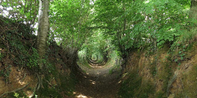Chemin Creux vers La Meauffe – CCbySA Romain Bréget Chemin Creux vers La Meauffe - CCbySA Romain Bréget